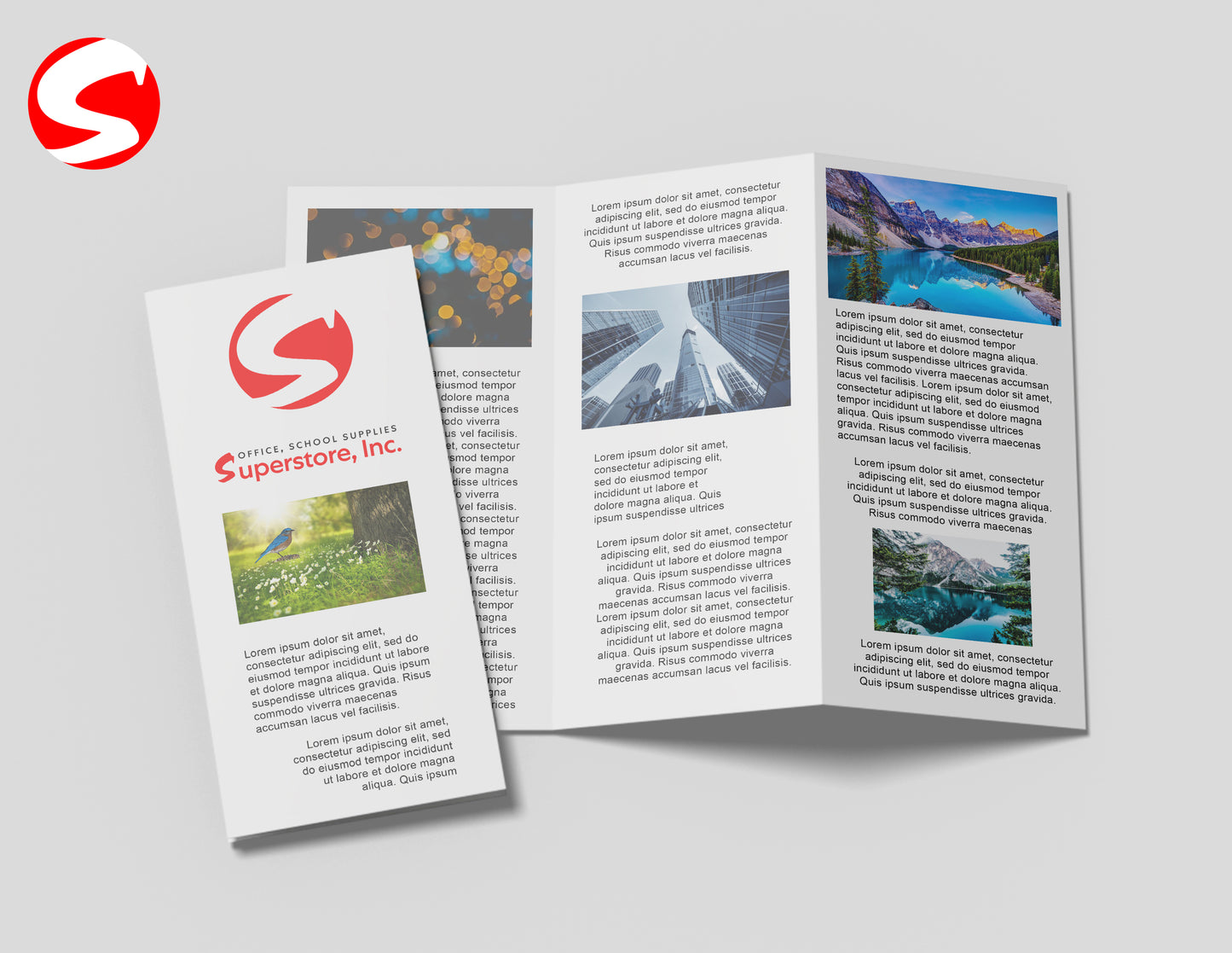 Brochure Tri-Fold